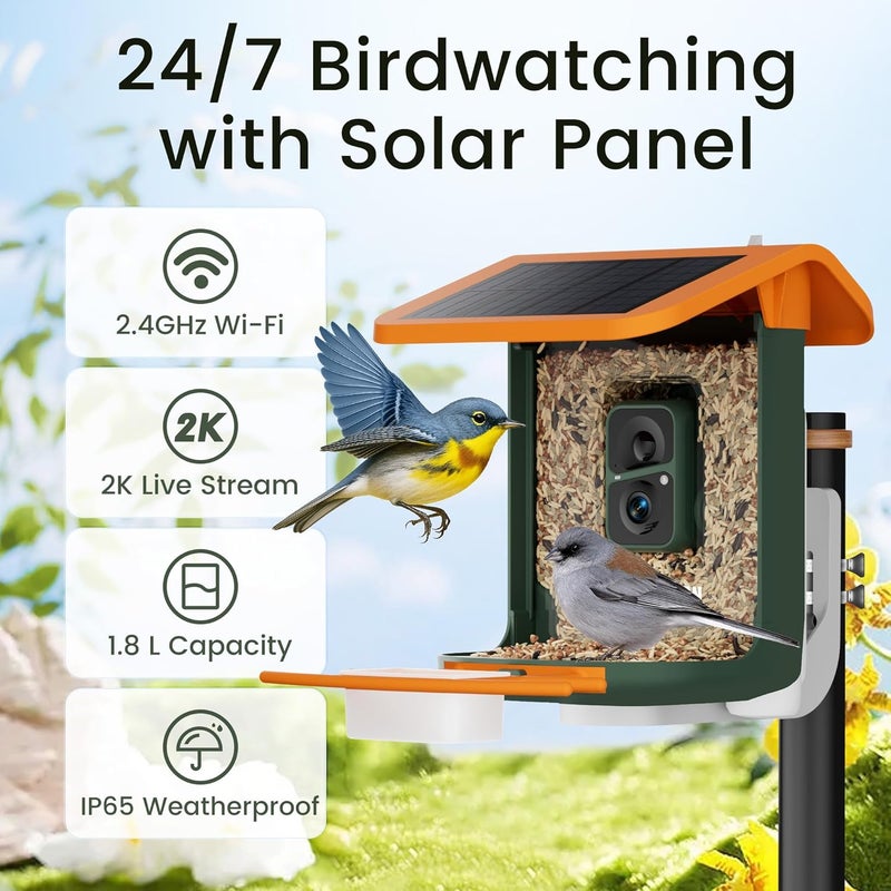 RichBird Smart Bird Feeder with Camera, Solar Powered, Free AI Identify Auto Video Capture & 2K HD Video Bird Feeders for Outdoors with SD Card, Gift for Birdlover - Image 2